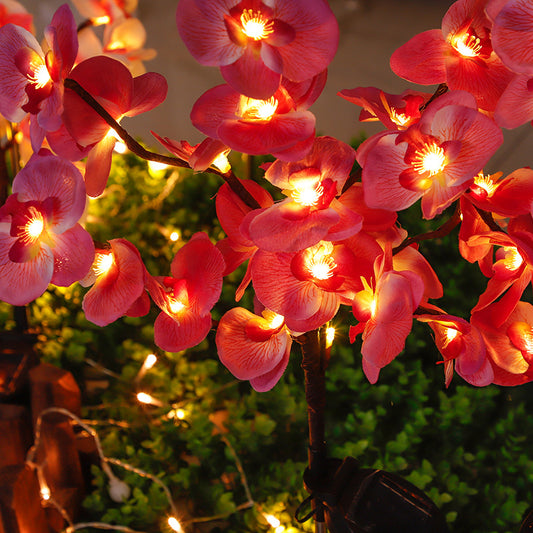 New Solar Phalaenopsis Orchid Lantern